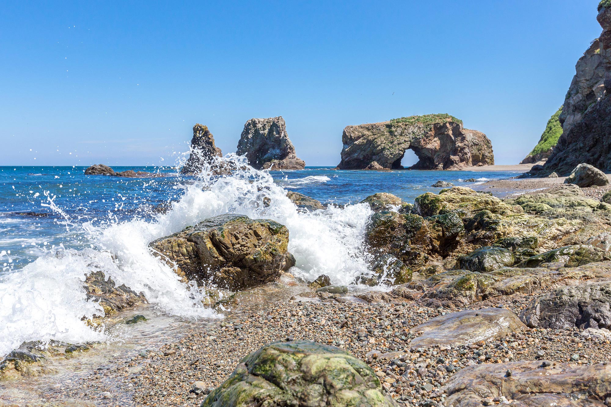 Cape Ptichiy (Мыс Птичий)